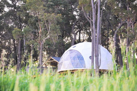 Mile End Glamping Pty Ltd - Accommodation Gladstone 2