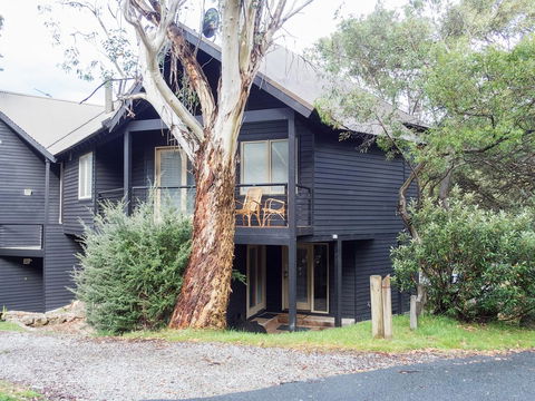 Milkwood - Accommodation Gladstone 0