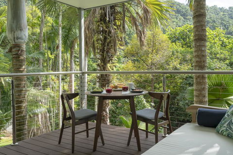 Mist At Cape Tribulation - Accommodation Gladstone 2