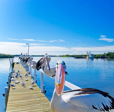 Moby Dick Waterfront Resort Motel - Accommodation Gladstone 0