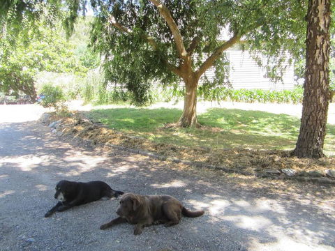 Molenda Lodge Farm Let - Accommodation Gladstone 3
