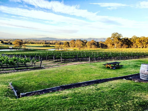 Molly Morgan Vineyard - Accommodation Gladstone 1