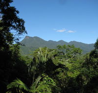 Mossman Gorge Bed and Breakfast - Accommodation Gladstone