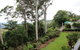 Mt Tamborine Motel - thumb 2