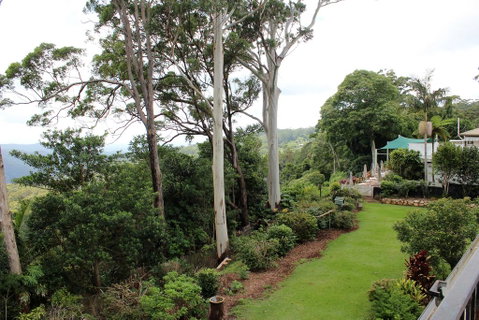 Mt Tamborine Motel - Accommodation Gladstone 2
