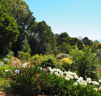 Murrindindi - Accommodation Gladstone