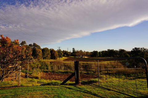 Muswellbrook Northside B&B - Accommodation Gladstone 3