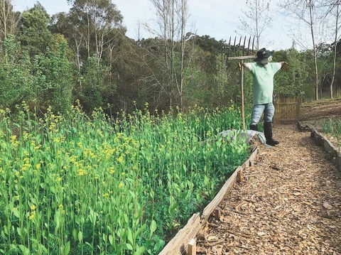 Mylor Farm, Adelaide Hills - Accommodation Gladstone 1