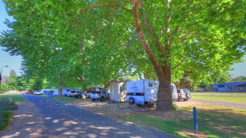 Myrtleford Holiday Park - Accommodation Gladstone 1