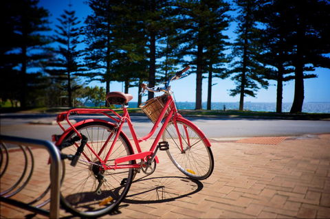 Cottesloe Artist's Beach Retreat - Accommodation Gladstone 31