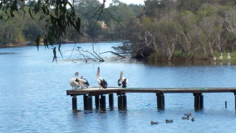 Jacaranda Hideaway Bed & Breakfast - Accommodation Gladstone 18