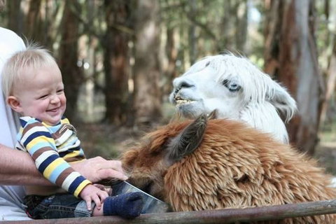 Margaret River Hideaway & Farmstay - Accommodation Gladstone 21