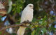 Margaret River Hideaway & Farmstay - thumb 26