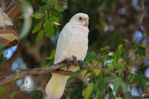 Margaret River Hideaway & Farmstay - Accommodation Gladstone 26