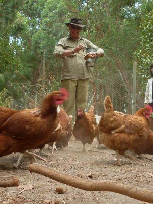 Margaret River Hideaway & Farmstay - Accommodation Gladstone 28