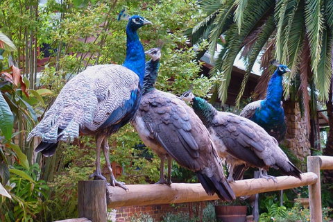 Margaret River Hideaway & Farmstay - Accommodation Gladstone 19
