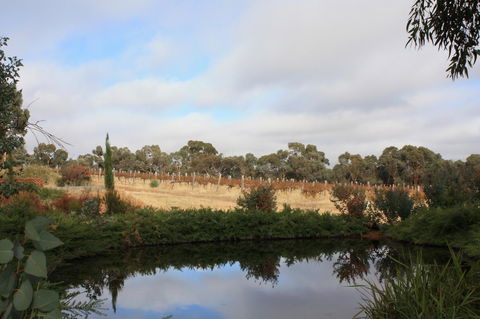 Hotham Ridge Estate - Accommodation Gladstone 27