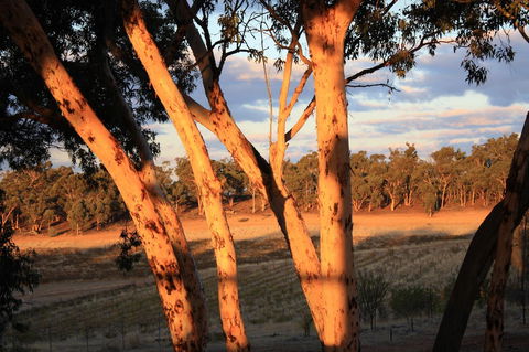 Hotham Ridge Estate - Accommodation Gladstone 30