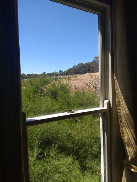 Hotham Ridge Estate - Accommodation Gladstone 8