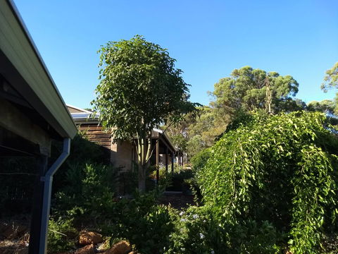 Hotham Ridge Estate - Accommodation Gladstone 5