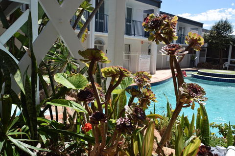 Seashore Memories - Sleeps 3 - Accommodation Gladstone 14