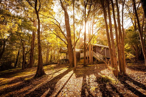 Riverglen Chalets - Accommodation Gladstone 0