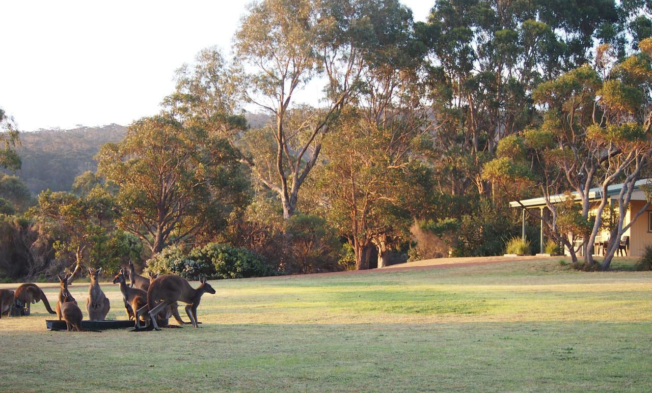  Accommodation Gladstone
