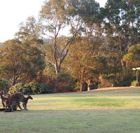 Riverside Retreat Chalets Walpole - Accommodation Gladstone