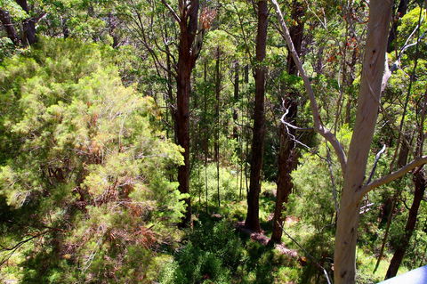 Bayside Villas - Accommodation Gladstone 5