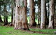 Treenbrook Cottages - thumb 9