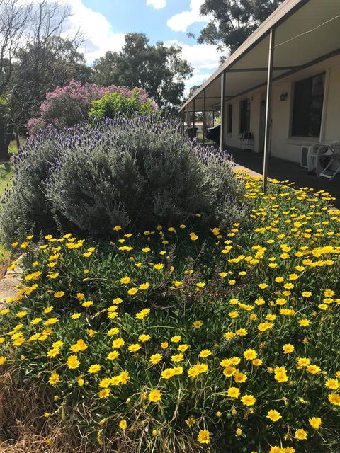 Cockburn Retreat Home æŸæ–¯æ‚ é–’æ°‘å®¿ - Accommodation Gladstone 3