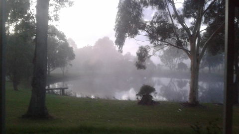 Abbivale Farm Cottage - Accommodation Gladstone 18