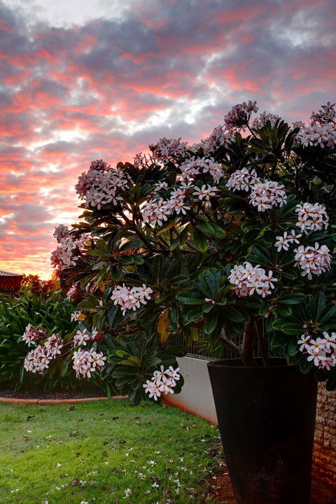 Mantra Frangipani Broome - Accommodation Gladstone 35