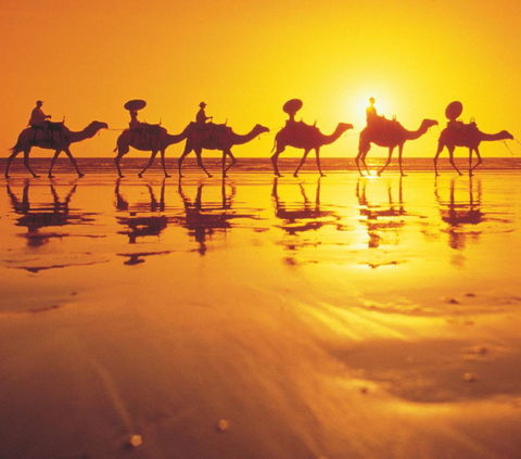 Mantra Frangipani Broome - Accommodation Gladstone 6