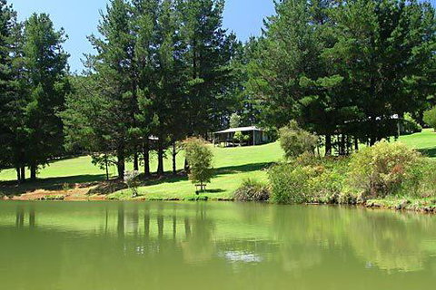 Hawke Brook Chalets - Accommodation Gladstone 2