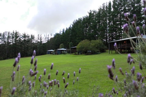 Hawke Brook Chalets - Accommodation Gladstone 1