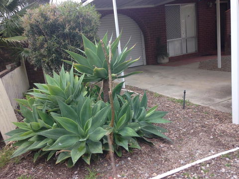 â˜… Stylish Family Home! â˜… - Accommodation Gladstone 2