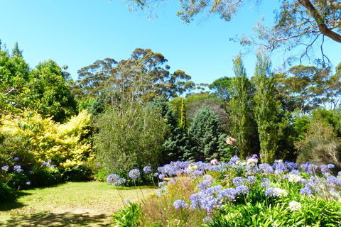 Innisfree Mountain Retreat - Accommodation Gladstone 1