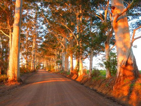 Innisfree Mountain Retreat - Accommodation Gladstone 10