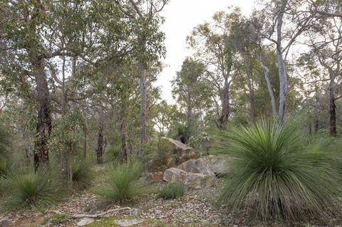 A Hidden Bush Delight - Accommodation Gladstone 23