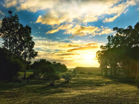 For The Birds Yallingup - Accommodation Gladstone 23