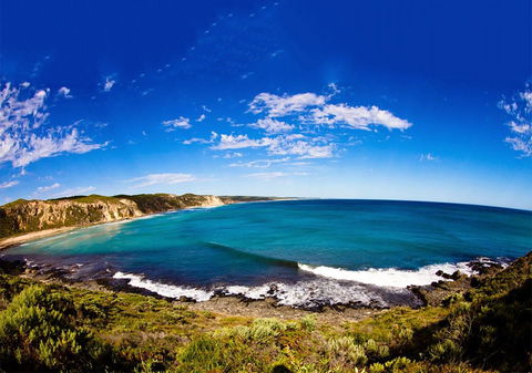 For The Birds Yallingup - Accommodation Gladstone 31