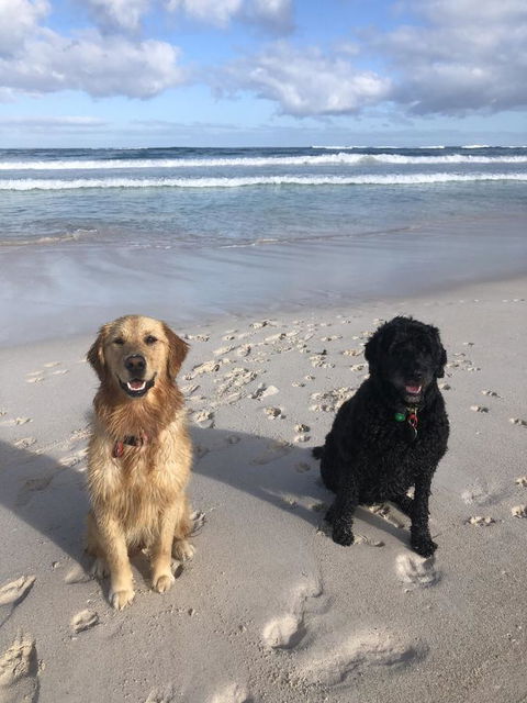 The Bothy Lancelin Family Retreat - Accommodation Gladstone 32