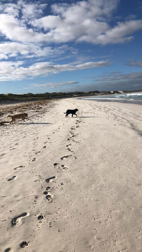 The Bothy Lancelin Family Retreat - Accommodation Gladstone 30