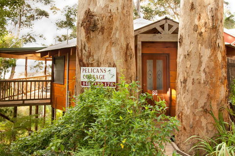 Pelicans At Denmark - Accommodation Gladstone 7