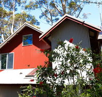 Pelicans at Denmark - Accommodation Gladstone
