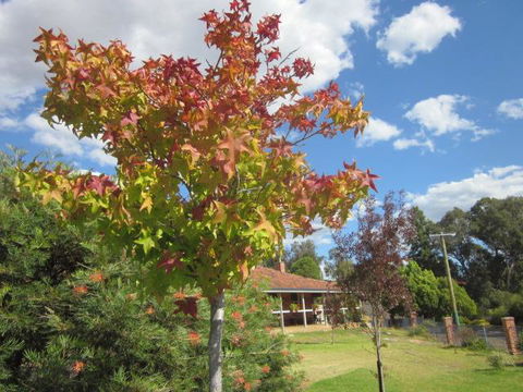 Bridgetown Valley Lodge - Accommodation Gladstone 40