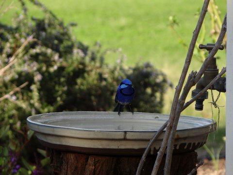 Big Brook Retreat - Accommodation Gladstone 6