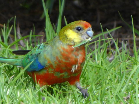 Big Brook Retreat - Accommodation Gladstone 13