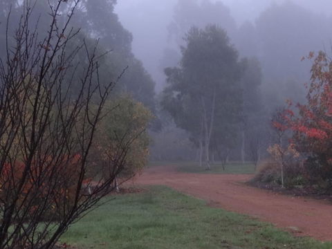 Big Brook Retreat - Accommodation Gladstone 14